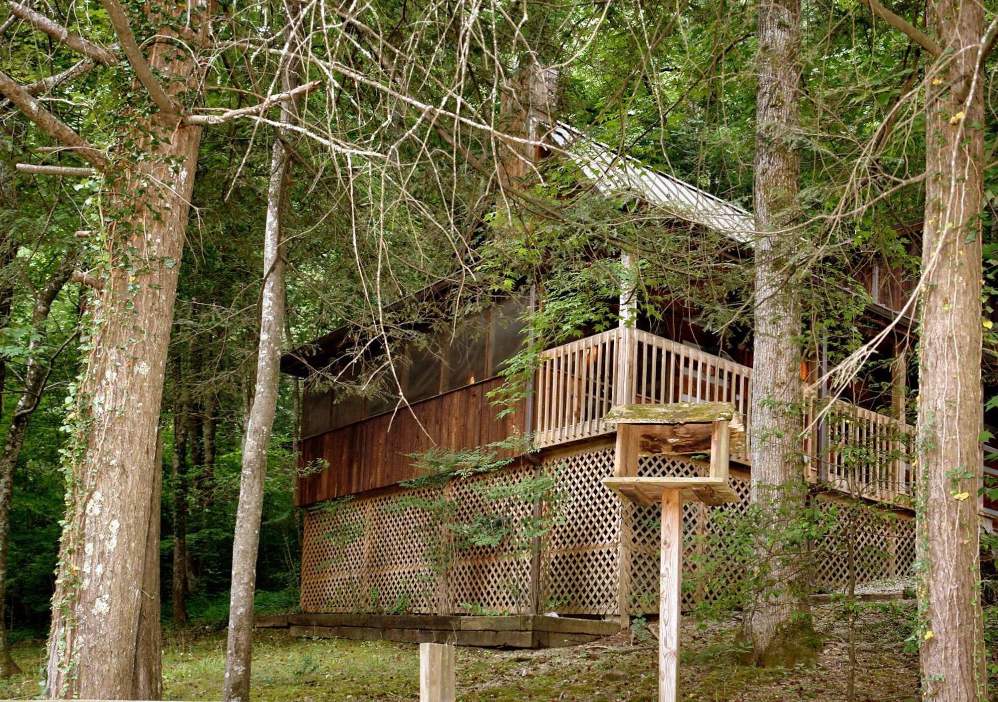 Parkside Party #1676 Villa Gatlinburg Exteriör bild